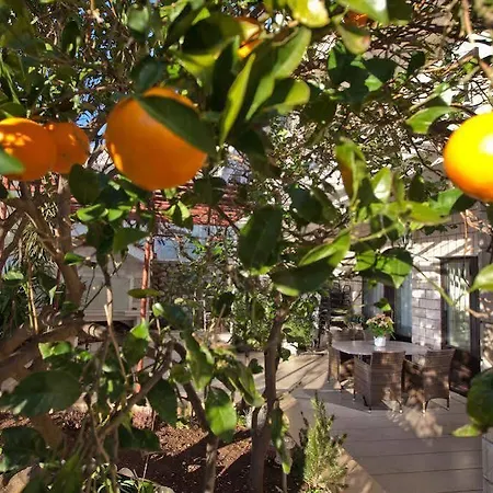 比利奇公寓 公寓 巴什卡沃达